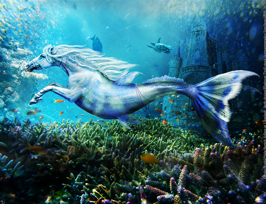 mermaid-horse.png