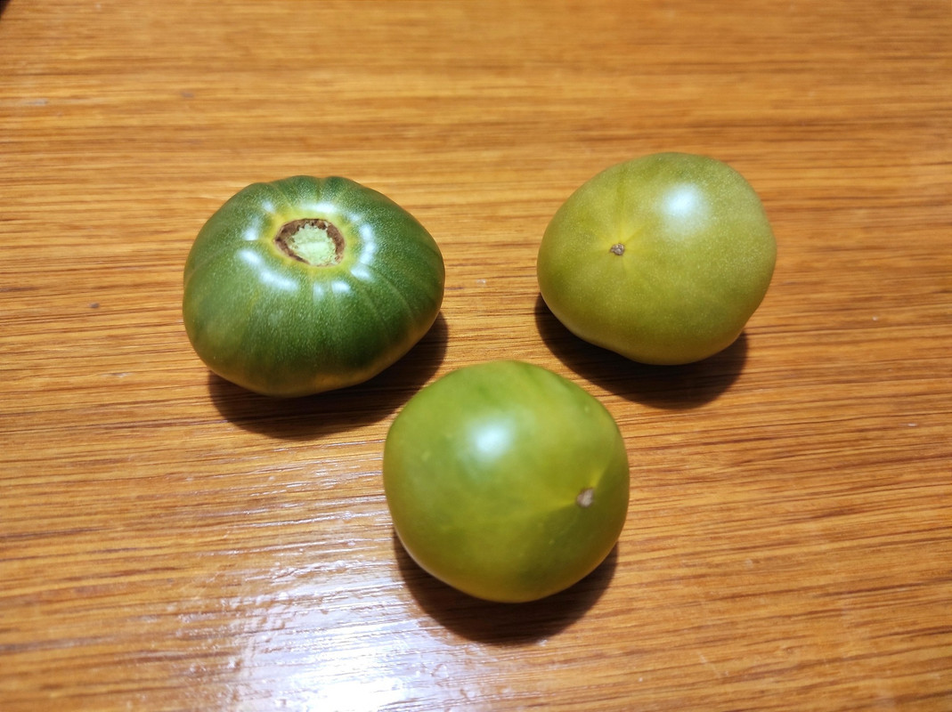 514408186_23954626194156421_6398855449603957420_n