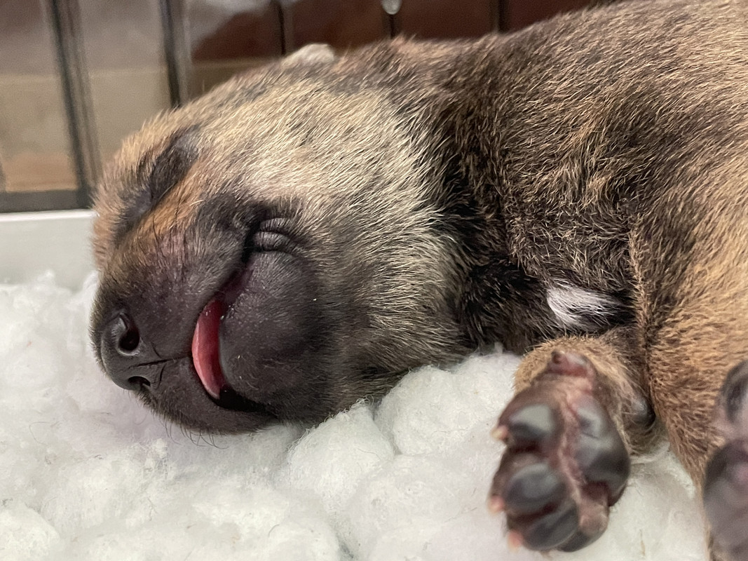 0CCD0406-2992-4C56-B279-3CE4CFBF4E76