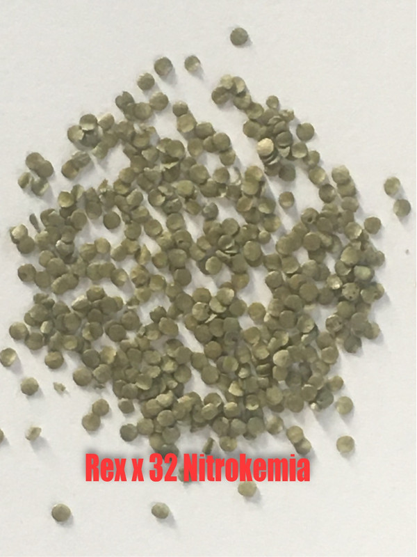 31439419-EDEB-4108-8C81-D38BB6689292