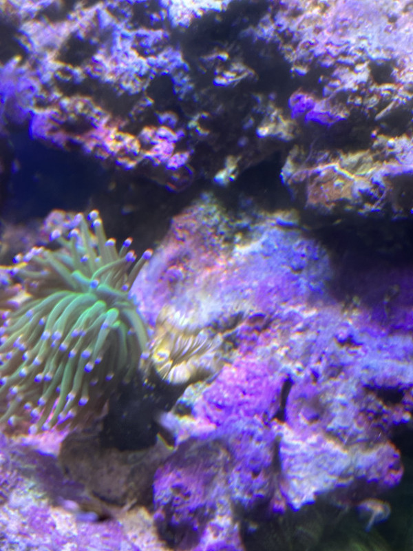 042DB1FA-BFAE-48A8-AE7F-790FA7C74761