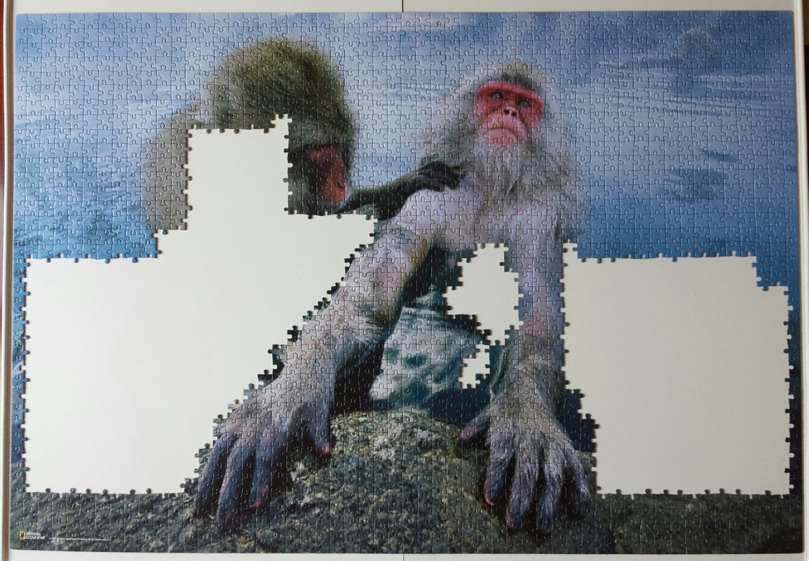 20170123_161550-1-01 (1)