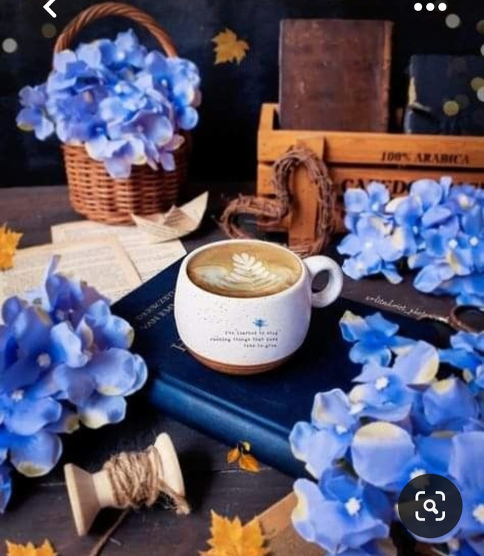 Screenshot_20230710_234136_Pinterest