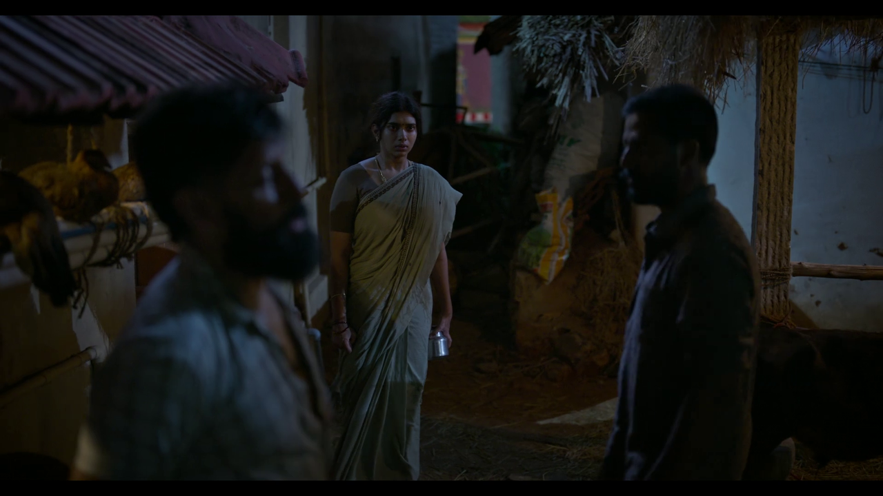 vlcsnap-2025-04-24-21h22m29s805