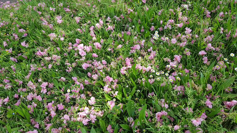 [Image: y20200416-125857.jpg]