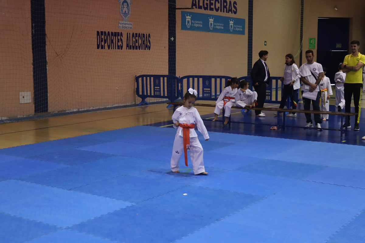 IMG-8587