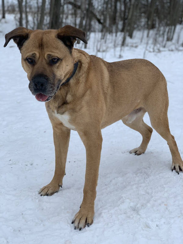 92AD008D-69AC-45DF-A906-4E81F17A7A74