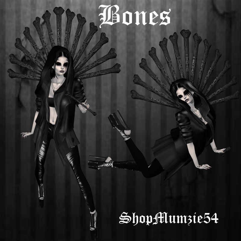 Bones-Bundle