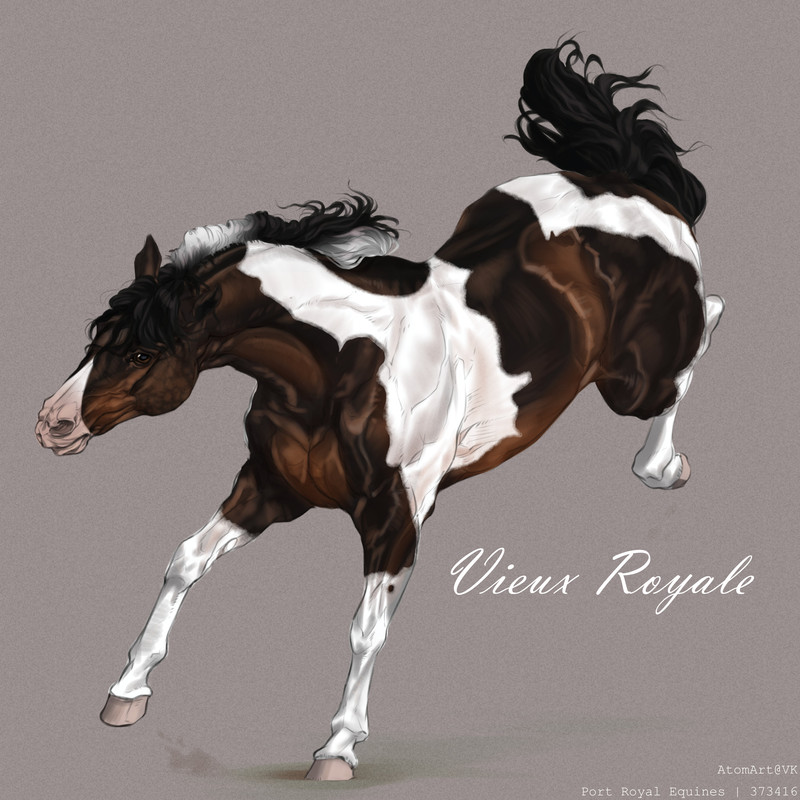 Letuchka4_20241222023732