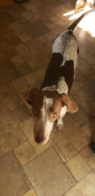 JPEG_20200717_181854