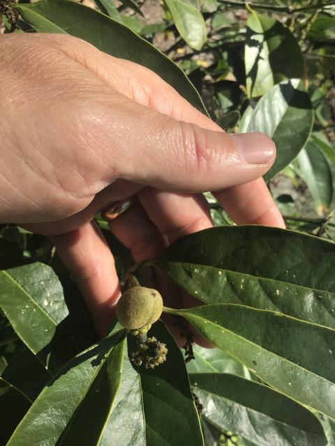 BB71F0EA-F8AA-4142-B4E5-A3C82C437720