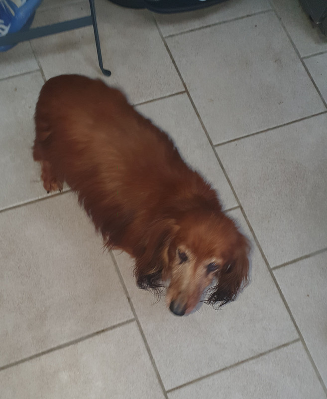 [Image: 20220128-080522.jpg]