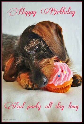 [Image: 1c0368c71517795f651d4c7e1cc93973.jpg]