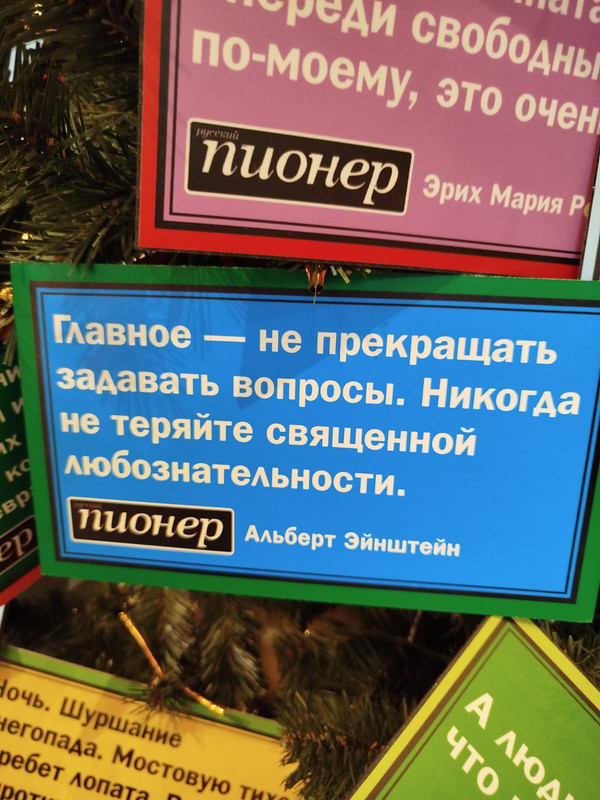 Ладья и Предновогодняя Москва 2025 127