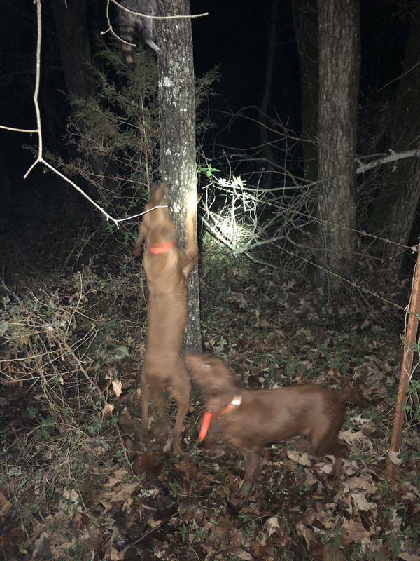 BB23FFB2-89B4-4175-A2AA-14744AB6D84F