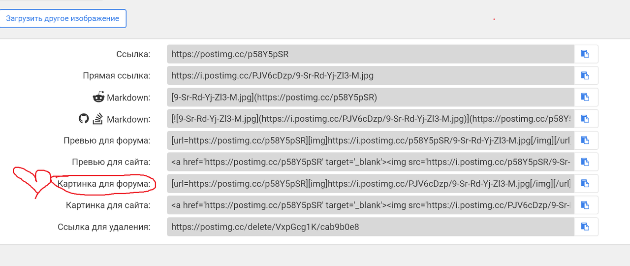 Сайт доступен по https. Прямая ссылка на изображение. URL ссылка на картинку. Как Скопировать URL изображения. Получение ссылки на изображение.