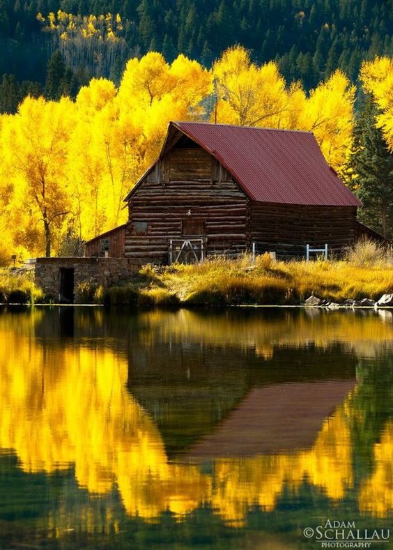 yellowhousereflection.jpg