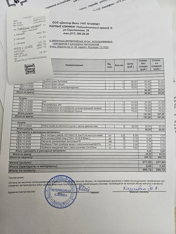 photo_2025-10-09_16-38-48