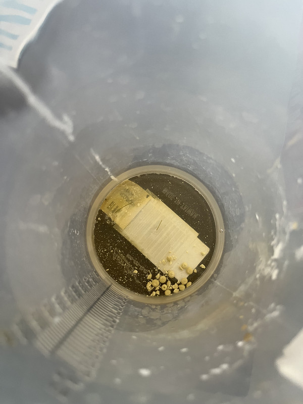 DF26CAA0-7859-4C7A-B6D4-D029EFFE3FEA