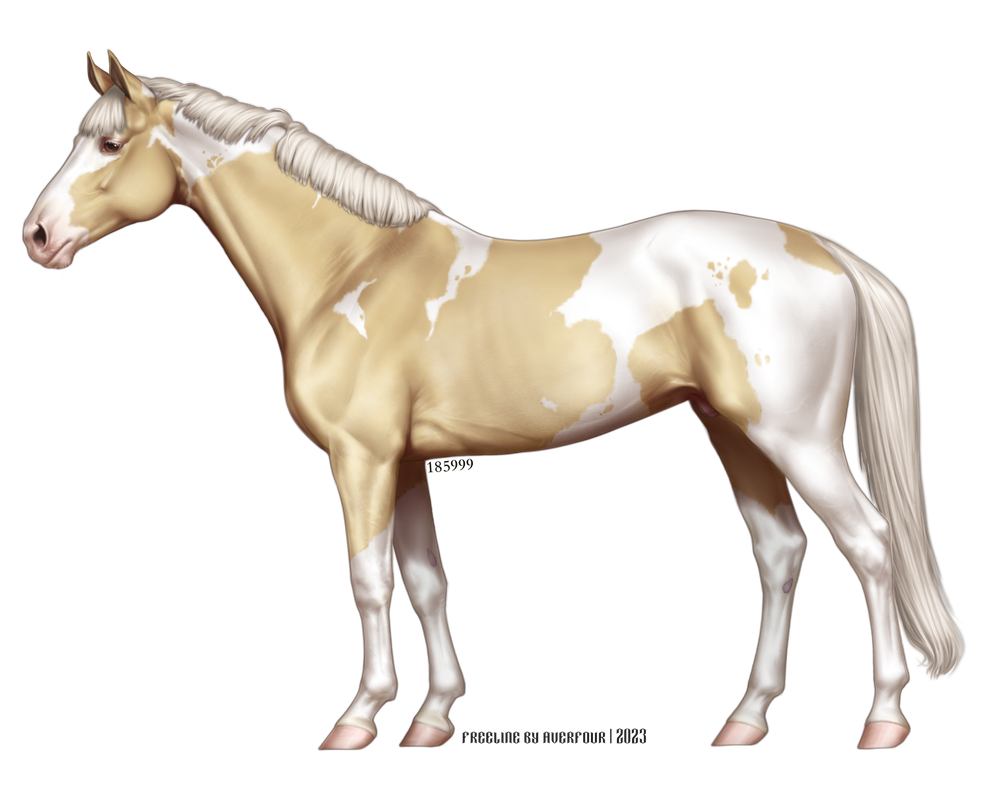 palomino-paint.png