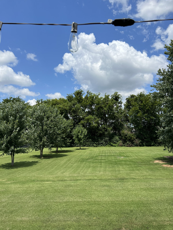 8AD49A56-DBB9-4FFD-9B3A-262B72BDA83E