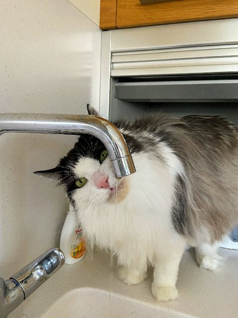 754-C3339-7-E95-4-F14-BF9-F-B4-A8-CB1-FC