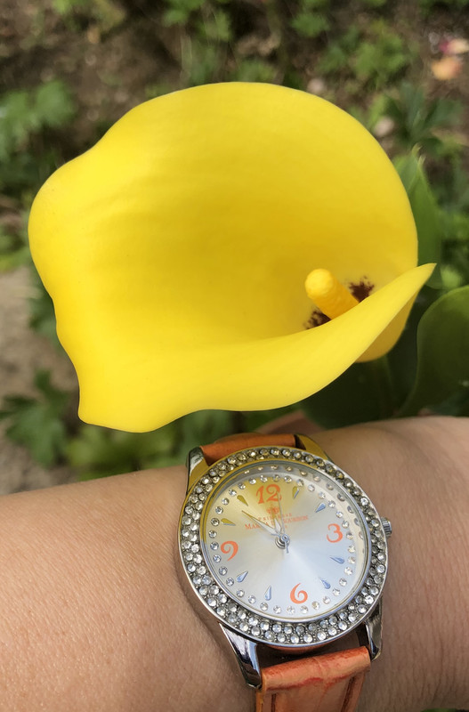 5EEF6BD0-D050-457E-939C-B381C59C3031