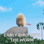 angry-birds-bird.gif