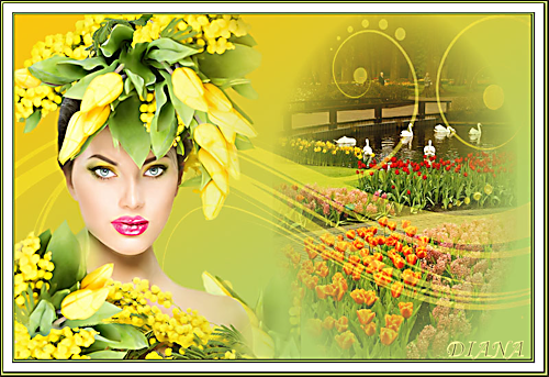 2024-SPRING-TIME.png