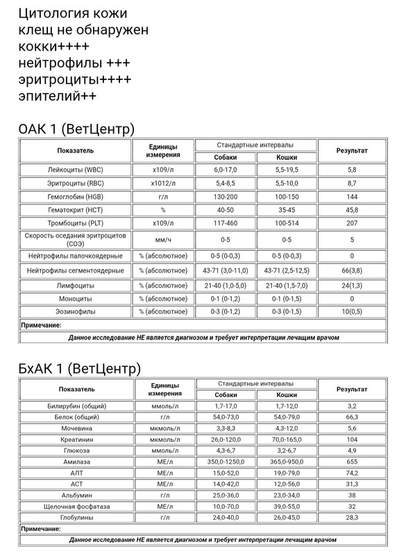 IMG-20250606-130642