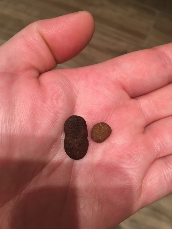 9B2E5CFF-C938-46F9-AD2E-9E6F3B24D4C2