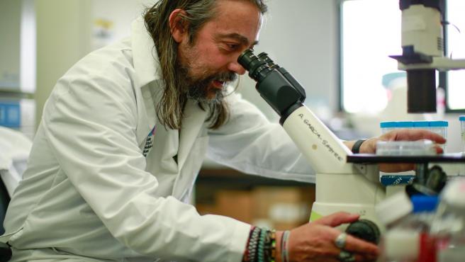 Adolfo García Sastre lanza advertencia sobre el fin de la pandemia