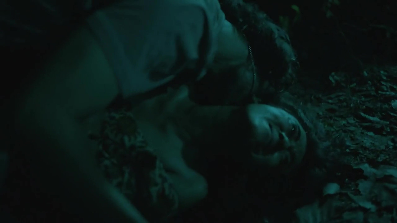 vlcsnap 2025 11 03 23h46m17s656