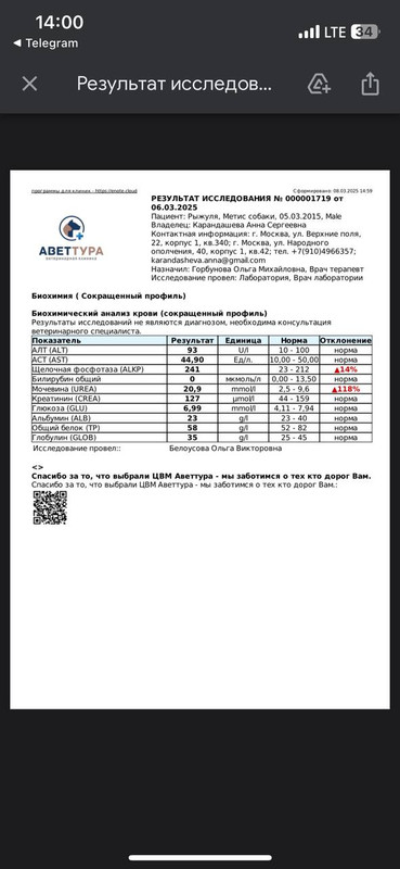 IMG_20250310_145749_237