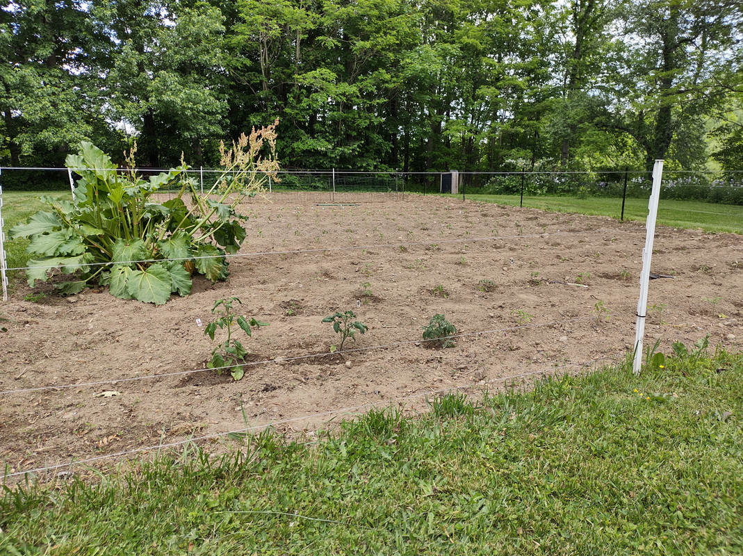 IMG_20210601_145034062_HDR