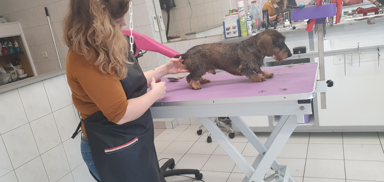 [Image: 20221117-154358.jpg]