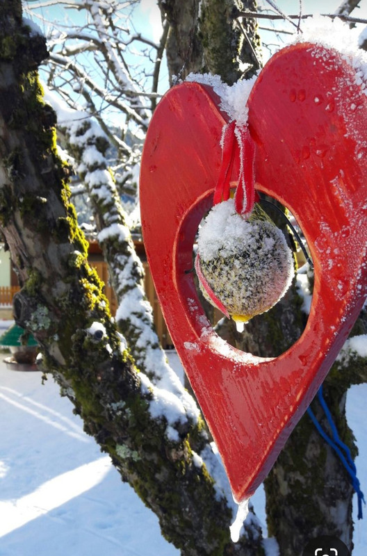 Screenshot_20240209_233626_Pinterest