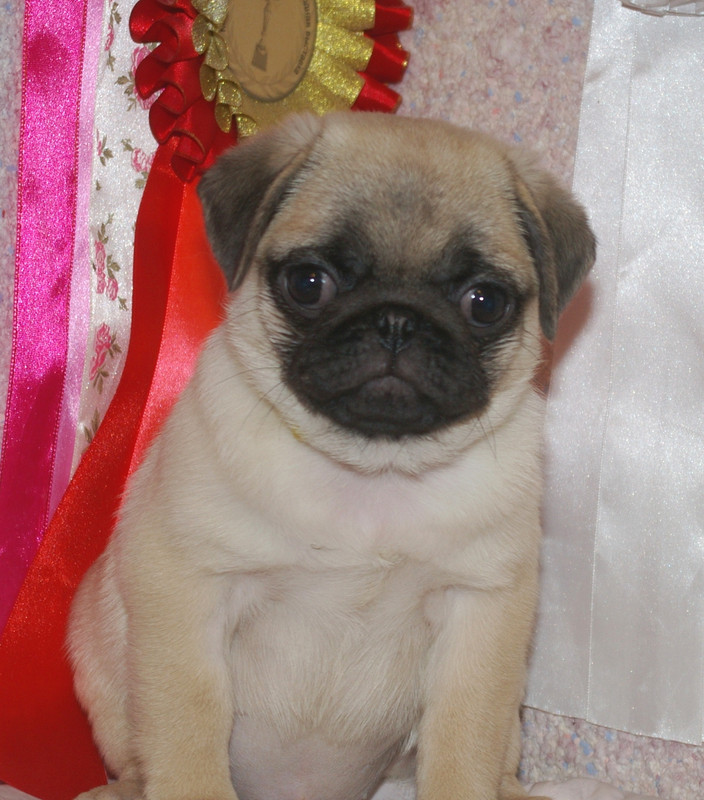 IMGP1843 — копия