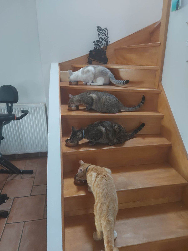 received_816553879633186