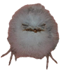 tumblr-9e0a3824b85bd30f7b3c5e62f1a2d0ad-19580dff-1280.png