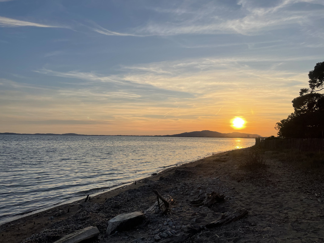 319839CB-3D81-4F4F-B737-706BF19B6FDE