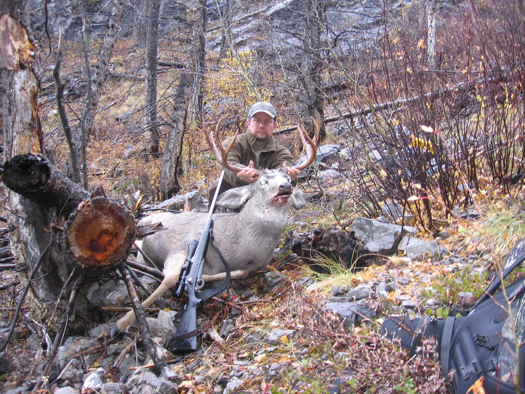bcmuley