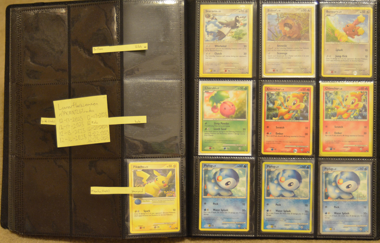 vander j meintel binder (216)