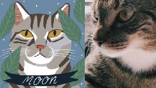 Meow Up Your Skills: Painting Cat Portraits in Procreate Meow Up Your Skills: Painting Cat Portraits in Procreate