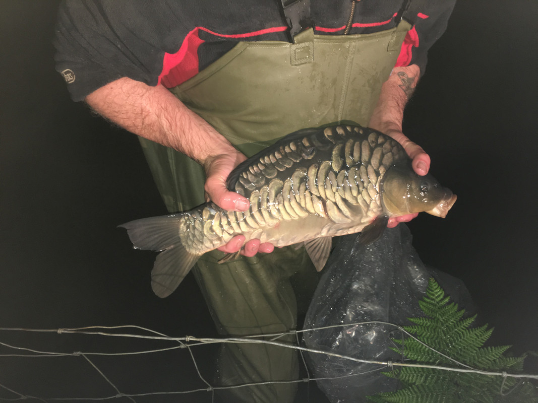 8AAE0852-4633-45DD-A569-0E36686514B0