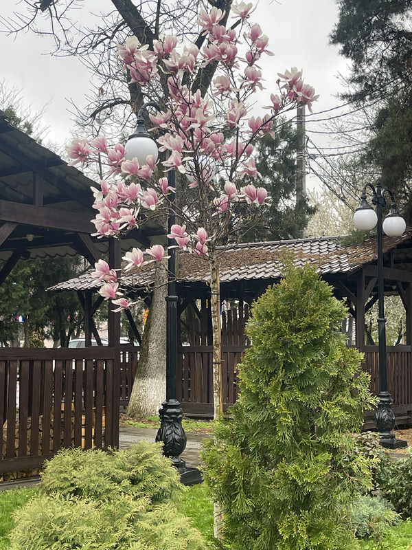 AC7CECD1-C13F-40B9-A892-45ECDAF9A5F8