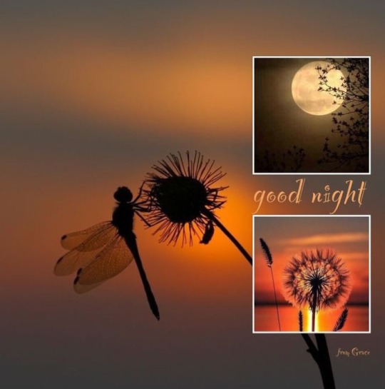 tumblr-fe7935e33c96755d9a883d7ec571ab54-36e5f714-540