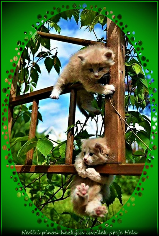 ne 14.5.17_núúúúprava