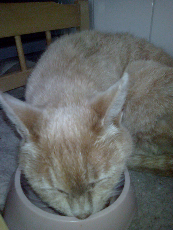 Злата в начале жизни у нас (4)