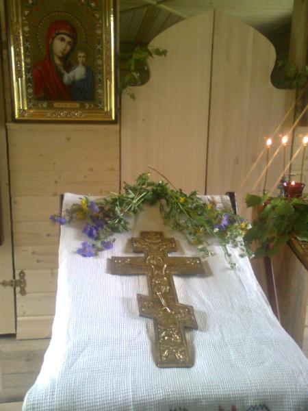 Фото0863 (450 x 600)